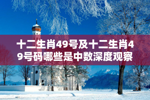 十二生肖49号及十二生肖49号码哪些是中数深度观察:一码一肖01-12-23-34-45-49 T:15的欺诈本质-核心解答、解释与落实