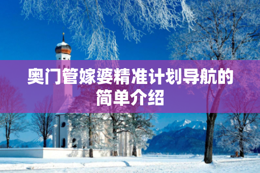 奥门管嫁婆精准计划导航的简单介绍