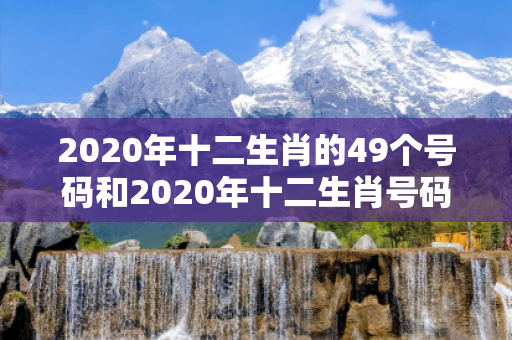 2020年十二生肖的49个号码和2020年十二生肖号码表完整版深度观察:一码一肖01-12-23-34-45-49 T:22的欺诈本质-核心解答、解释与落实