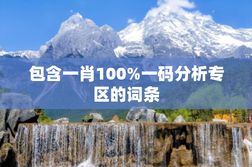 包含一肖100%一码分析专区的词条